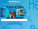 Website Snapshot of CRYOFAB, INC.