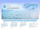 Website Snapshot of DMP CORPORATION