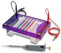 Electrophoresis Systems