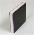 plastic insulated panel, insulated wall and spandrel panels