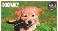 Mead Dog Fancy Year-in-a-Box Calendar (Item # LMB45)