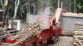 Rotochopper B-66 Processing Logs for Biomass Fuel.