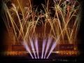 Chicago White Sox Fireworks Display Company