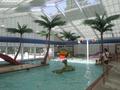 Daylighting Pool Enclosure