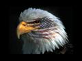 American Flag on Eagle Face