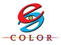 eeColor Technology logo