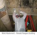 Mold Abatement - Ronald Reagan Building