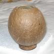 Coconut Shell Planter (HK40)