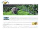 Website Snapshot of AFRICAN ANIMALS (T) LTD