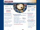 Website Snapshot of BALDOR GENERATORS