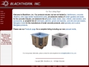 Website Snapshot of BLACKTHORN, INC.