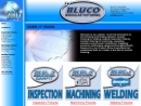 Website Snapshot of BLUCO CORP.
