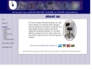 Website Snapshot of BRANDT INDUSTRIES, INC.