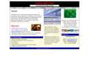 Website Snapshot of 3WI TECHNOLOGIES