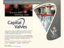 Website Snapshot of CAPITAL VALVES LTD