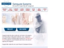 Website Snapshot of CAREGUIDE SYSTEMS INC