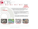 Website Snapshot of CT GASKET & POLYMER CO, INC