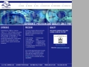 Website Snapshot of CV TOOL CO., INC.