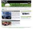 Website Snapshot of DIVERSIFIED GOLF CARS INC