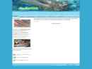 Website Snapshot of DOCTOR FISH MASSAGE, INC.