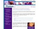 Website Snapshot of GEPCOM INC