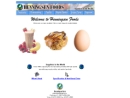 Website Snapshot of HENNINGSEN FOODS, INC. (H Q)