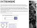 Website Snapshot of INTRINSIC DEVICES INC