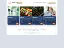 Website Snapshot of JUSTYN TYME SOLUTIONS
