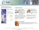 Website Snapshot of KOEX DISTRIBUCIÓN INTEGRAL SL