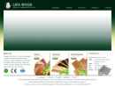 Website Snapshot of LIFA WOOD (LINYI) CO., LTD.