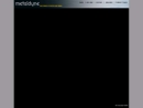 Website Snapshot of METALDYNE HYDRAULIC CONTROLS, LIGHT METALS DIV.