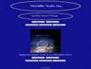 Website Snapshot of METALLIC SEALS INC