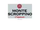 Website Snapshot of MONTE SCROPPINO