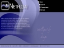 Website Snapshot of NETFLOW, INC.