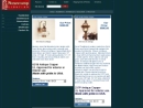 Website Snapshot of NEWSTAMP LIGHTING CORP.