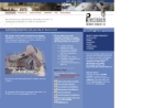 Website Snapshot of PRECISION AUTOMATED TECHNOLOGY, INC.