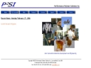 Website Snapshot of PERFORMANCE POLYMER SOLUTIONS, INC.