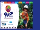 Website Snapshot of PACON CORP.