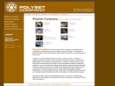 Website Snapshot of POLYSET CO., INC.
