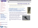 Website Snapshot of POSITRON SYSTEMS, INC.