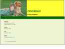 Website Snapshot of POWERBACK, LLC
