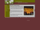 Website Snapshot of ROCKET SCIENCE
