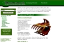 Website Snapshot of SHAMROCK STEEL FABRICATORS, INC.