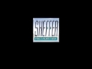 Website Snapshot of SHEFFER CORP.