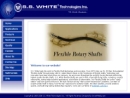 Website Snapshot of S. S. WHITE TECHNOLOGIES, INC.