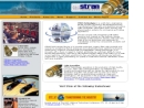 Website Snapshot of STRAN TECHNOLOGIES, INC.