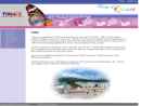 Website Snapshot of REFLECTIVE AEROSOL PAINT, AEROSOL PRODUCT BY TAMZ