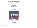 Website Snapshot of THERMOLYTE CORP.