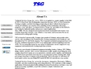 Website Snapshot of TECHNICAL SERVICES GROUP, INC.
